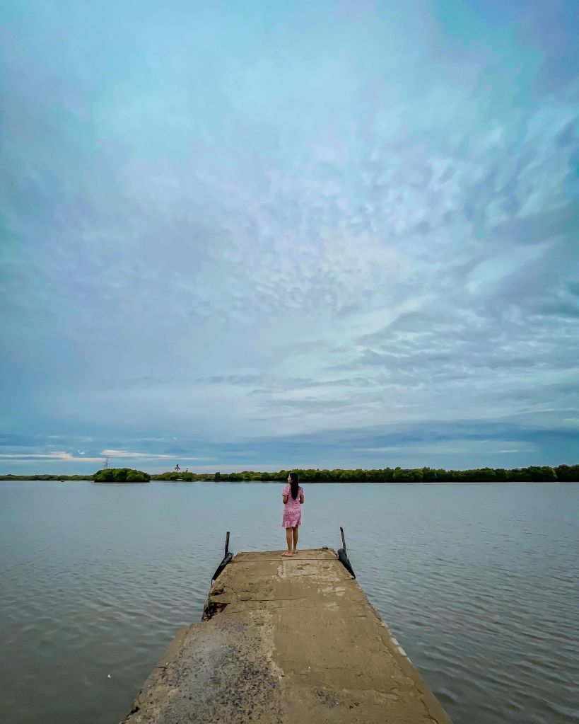 Worlds Second Largest Mangrove Forest Pichavaram A Day Trip From