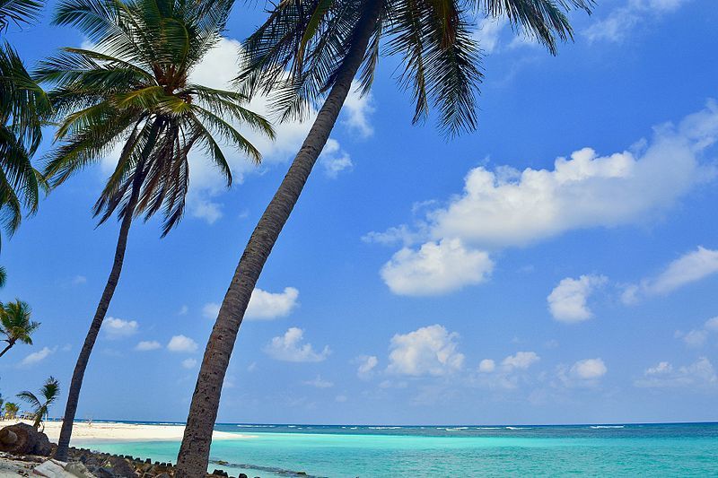 Psst These Hidden Nude Beaches In India Are Calling You Tripoto