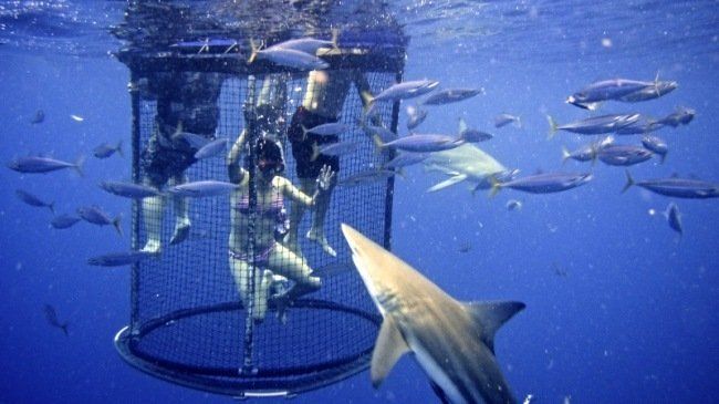 Photo of Unique and Offbeat Honeymoon Destinations You've Never Thought of 11/12 by travelgenes