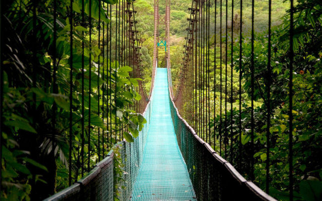 Photo of Unique and Offbeat Honeymoon Destinations You've Never Thought of 4/12 by travelgenes