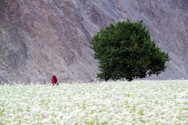 Photo of 7 Least Searched Destinations in India For The Traveler Who Has Seen it All! 11/14 by Gunjan Upreti