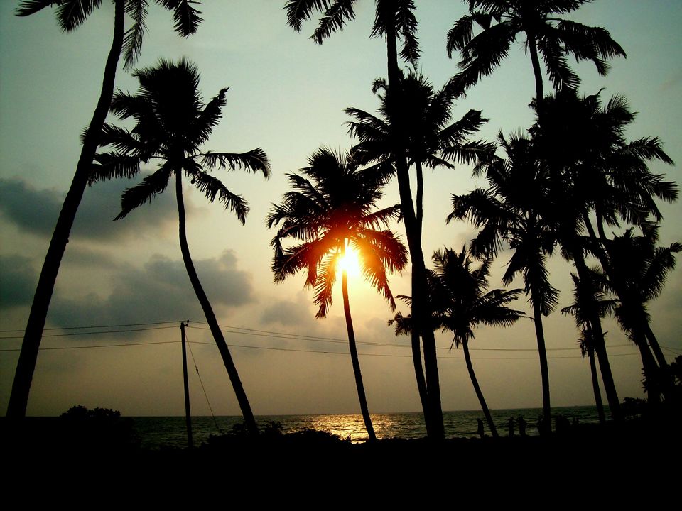 Photo of Dawn to Dusk : Kashmir to Kollam : Hills to Oceans 3/16 by Munish