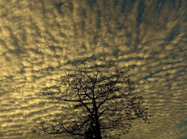 Photo of A weekend in lesser known Drupka village - Lepchakha (Dooars) 5/10 by Souvo Chowdhury