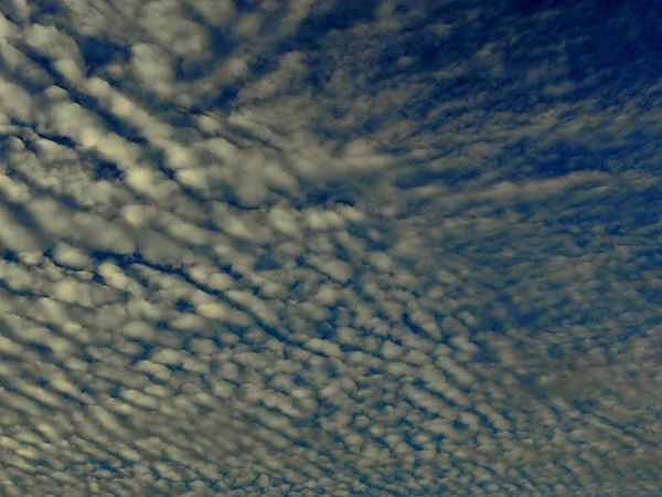 Photo of A weekend in lesser known Drupka village - Lepchakha (Dooars) 6/10 by Souvo Chowdhury