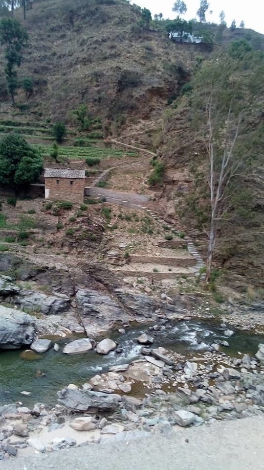 Photo of From A Hidden Home In The Hills Of Almora, Uttarakhand 7/19 by Disha Kapkoti