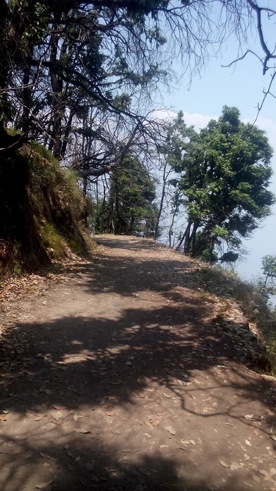 Photo of From A Hidden Home In The Hills Of Almora, Uttarakhand 13/19 by Disha Kapkoti