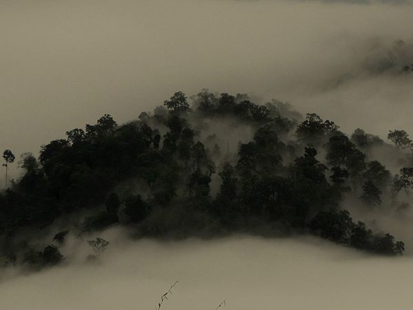 Photo of A weekend in lesser known Drupka village - Lepchakha (Dooars) 4/10 by Souvo Chowdhury