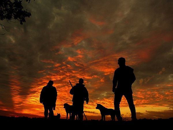 Photo of A weekend in lesser known Drupka village - Lepchakha (Dooars) 10/10 by Souvo Chowdhury
