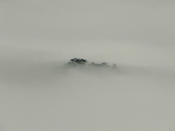 Photo of A weekend in lesser known Drupka village - Lepchakha (Dooars) 3/10 by Souvo Chowdhury