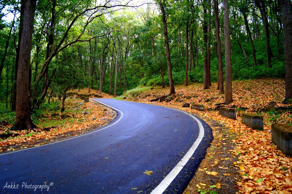 Photo of 9 things to do around Corbett National Park, when you don't have jungle permit. 4/14 by Ankkit Saxena