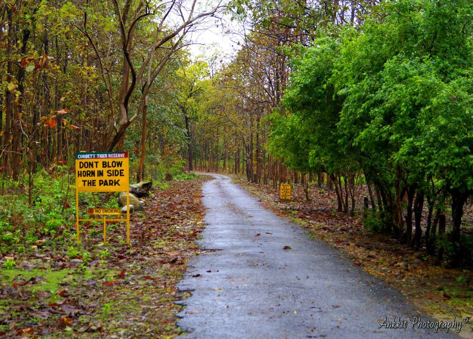 Photo of 9 things to do around Corbett National Park, when you don't have jungle permit. 5/14 by Ankkit Saxena