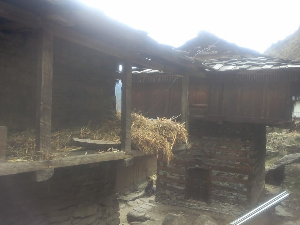 Photo of Kheerganga Trek: A Journey To Wash Your Spirit Clean 25/29 by Disha Kapkoti
