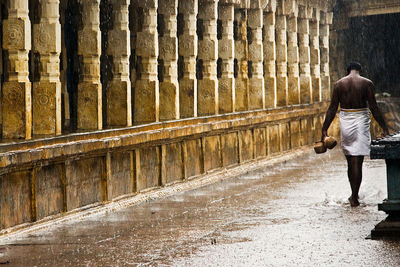 Photo of 11 Photographs That Will Show You How Beautiful India Is During The Monsoon 10/12 by Disha Kapkoti