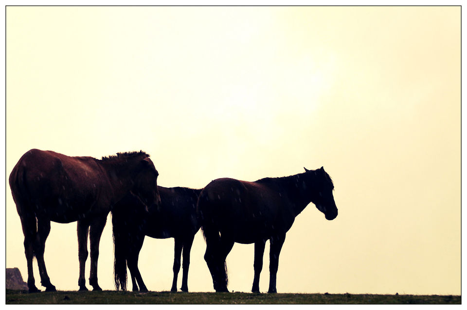 Photo of Discovering places through pictures 6/20 by Ankita Singgh