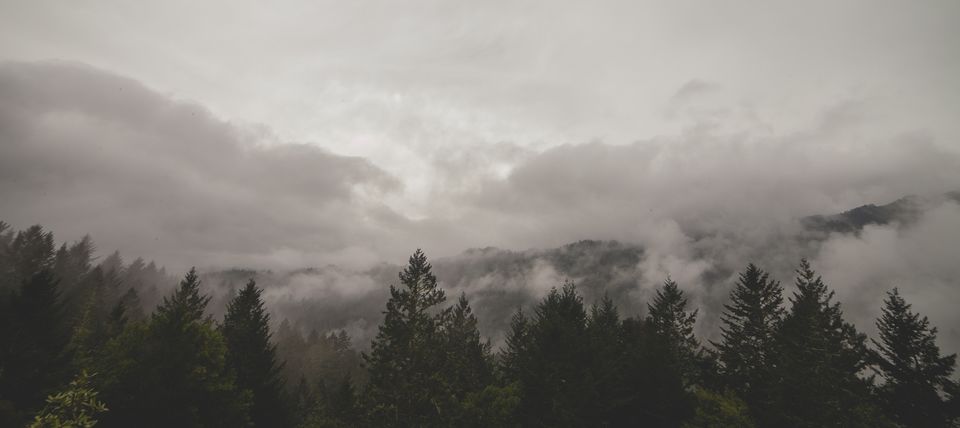 Photo of How Traveling Heals You 4/6 by Nikita Mandhani