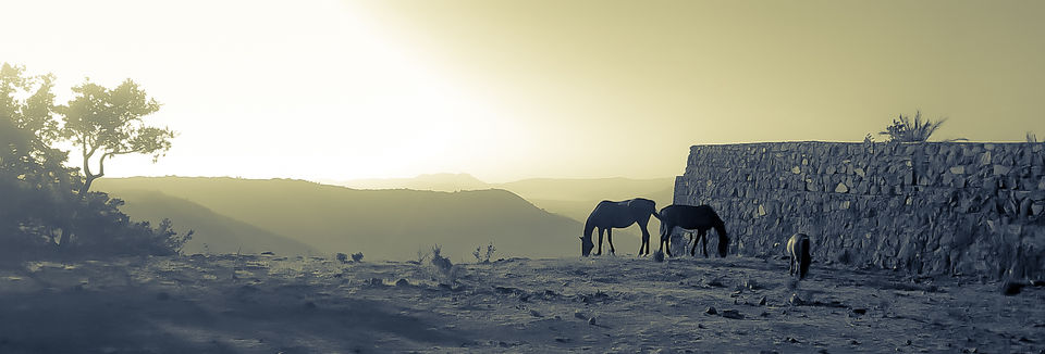 Photo of A Trek Worth Remembering - Lohagad Fort, Pune, India 40/43 by Ashik Satheesh