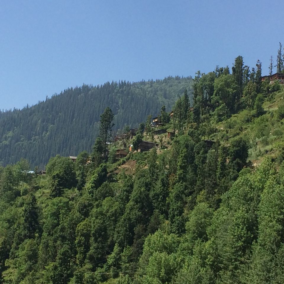 Photo of Rupin: The silent beauty 4/9 by Rupali