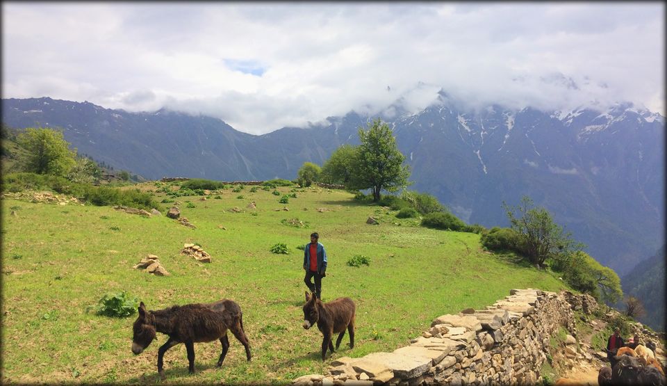 Photo of Rupin: The silent beauty 9/9 by Rupali