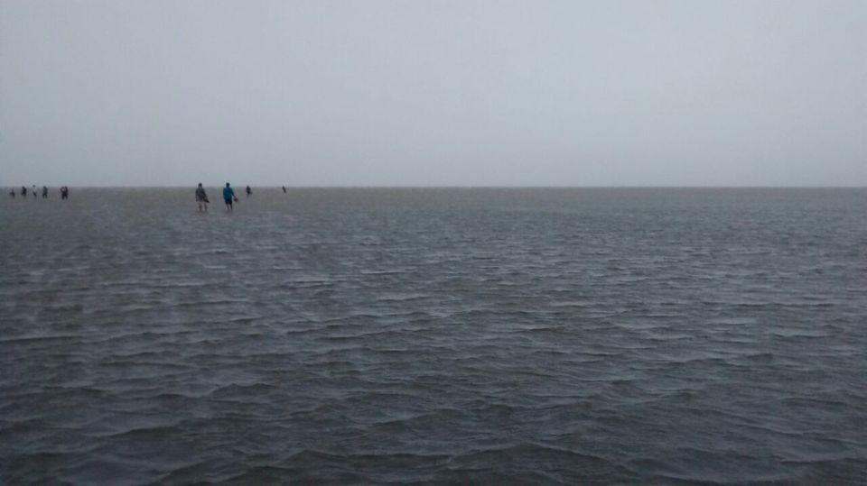 Photo of Chandipur - that hidden little gem! 2/4 by Soumya Siddhartha Mohanty