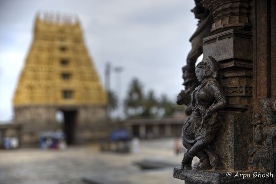 Photo of Belur- Halebeedu: Iconic historical landmark of Hoysala dynasty 45/46 by Madhumita Banerjee