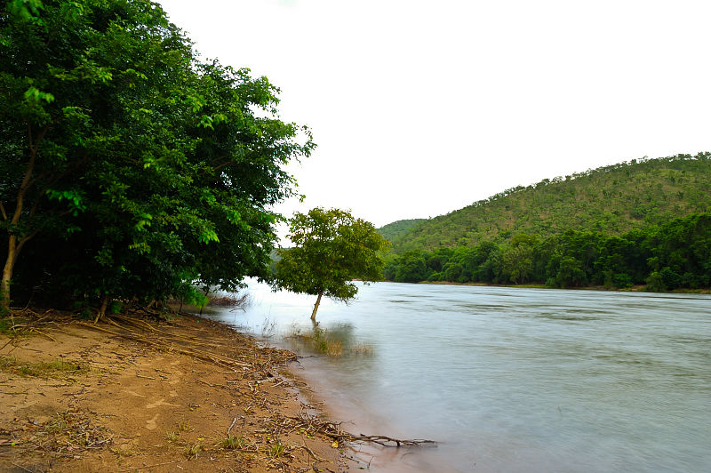 Photo of Wilderness Absolute on the banks of Kaveri 2/6 by Hrishikesh