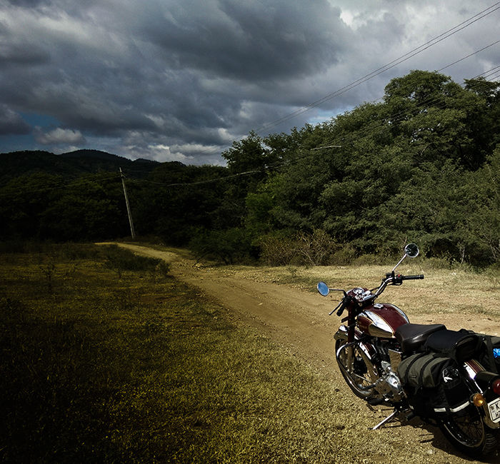 Photo of Wilderness Absolute on the banks of Kaveri 3/6 by Hrishikesh