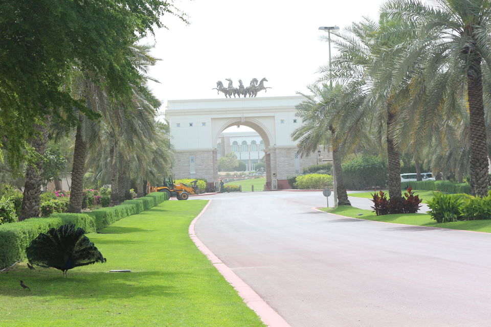 Photo of Adventurous Dubai !!! 14/15 by Garima Sharma