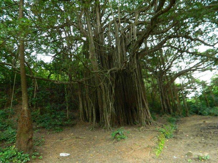 Photo of The 10 Best | Travel Quotes which reminds me of GOA 7/10 by Geetanjali
