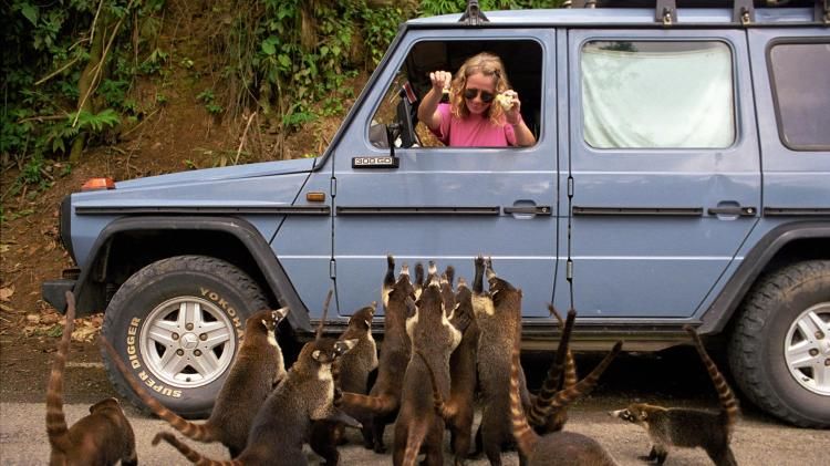 Photo of A Special Story of One Man's 23-Year-Long Road Trip to the Uninhabited Parts of the World 10/12 by Disha Kapkoti