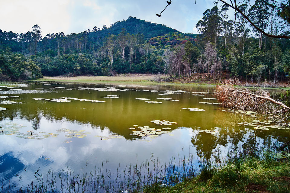 Photo of The Most Enchanting Hill Station In South India 19/22 by Solo Traveler Nafeesa