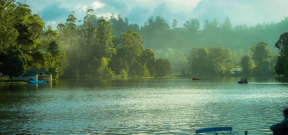Photo of The Most Enchanting Hill Station In South India 17/22 by Solo Traveler Nafeesa