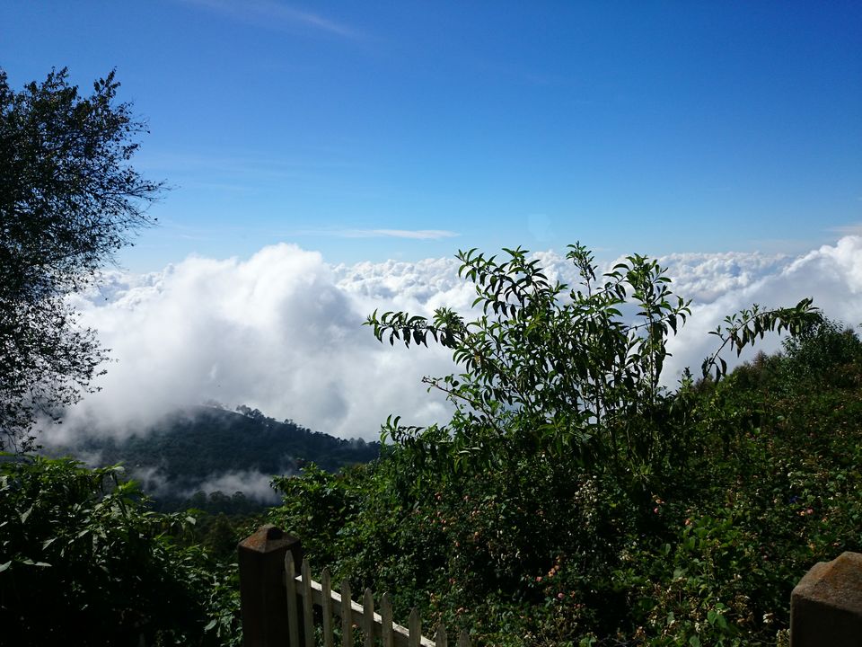 Photo of The Most Enchanting Hill Station In South India 21/22 by Solo Traveler Nafeesa