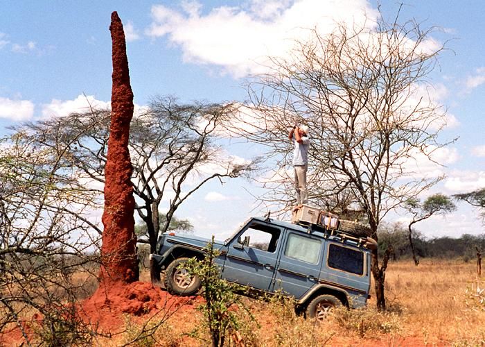 Photo of A Special Story of One Man's 23-Year-Long Road Trip to the Uninhabited Parts of the World 2/12 by Disha Kapkoti