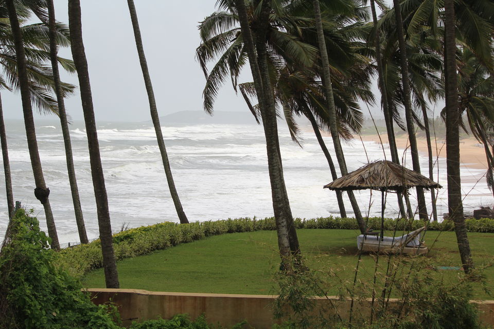 Photo of How I wish this never ended! Crazy Times: Goodbye Goa 19/43 by Monali Monalisa