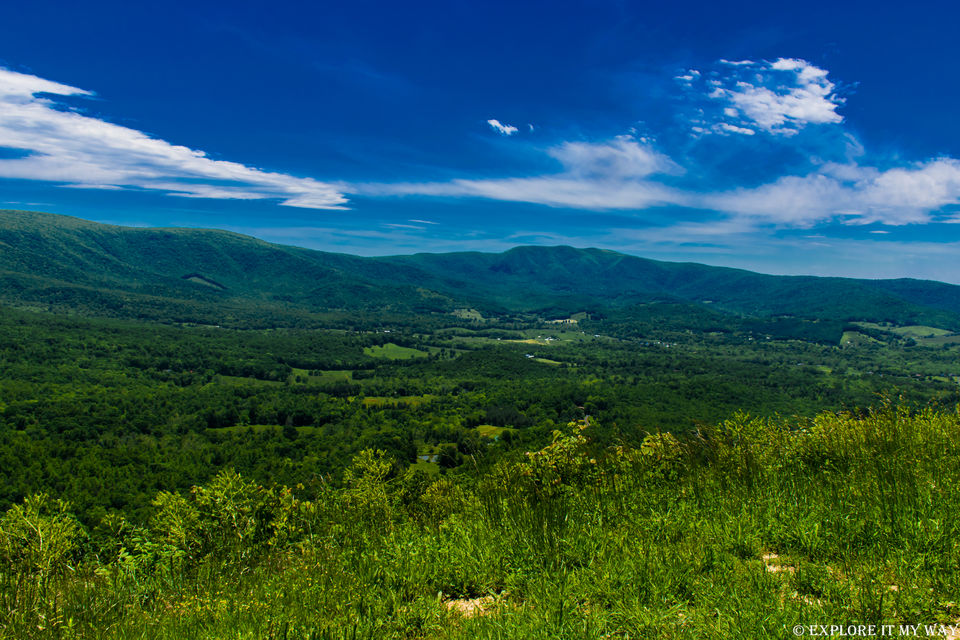 Photo of Nature’s Calling! Visit Shenandoah National Park 6/9 by Saswati Bhoi