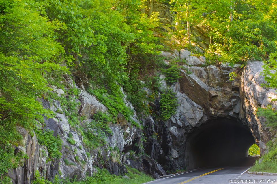 Photo of Nature’s Calling! Visit Shenandoah National Park 7/9 by Saswati Bhoi