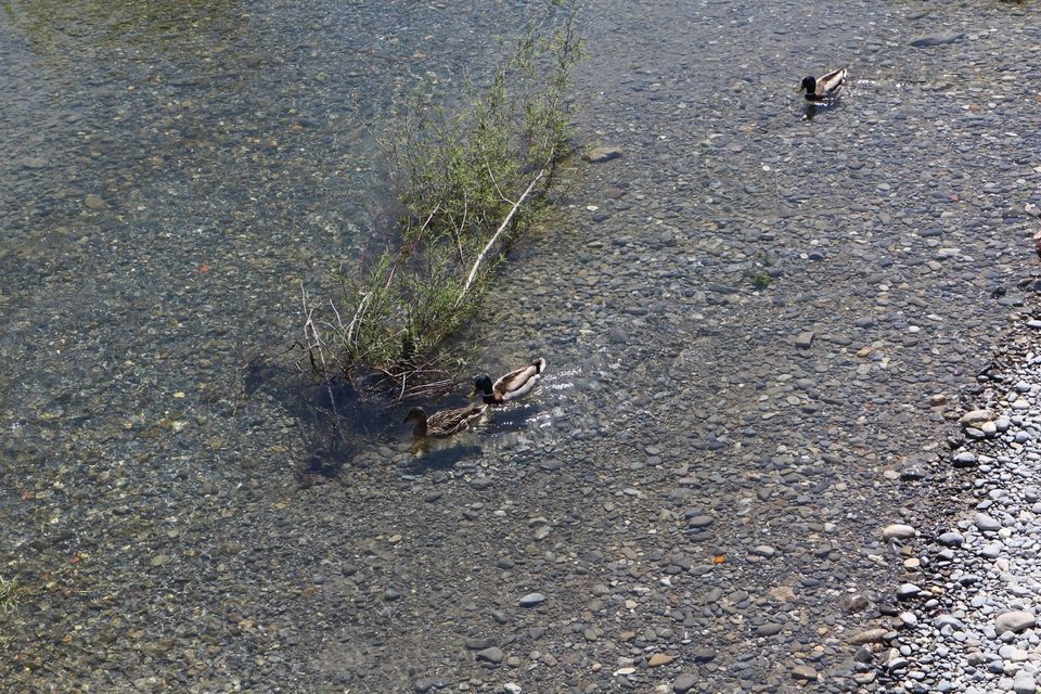 Photo of Ventimiglia - The sea and the old town 7/14 by My Life in Sin