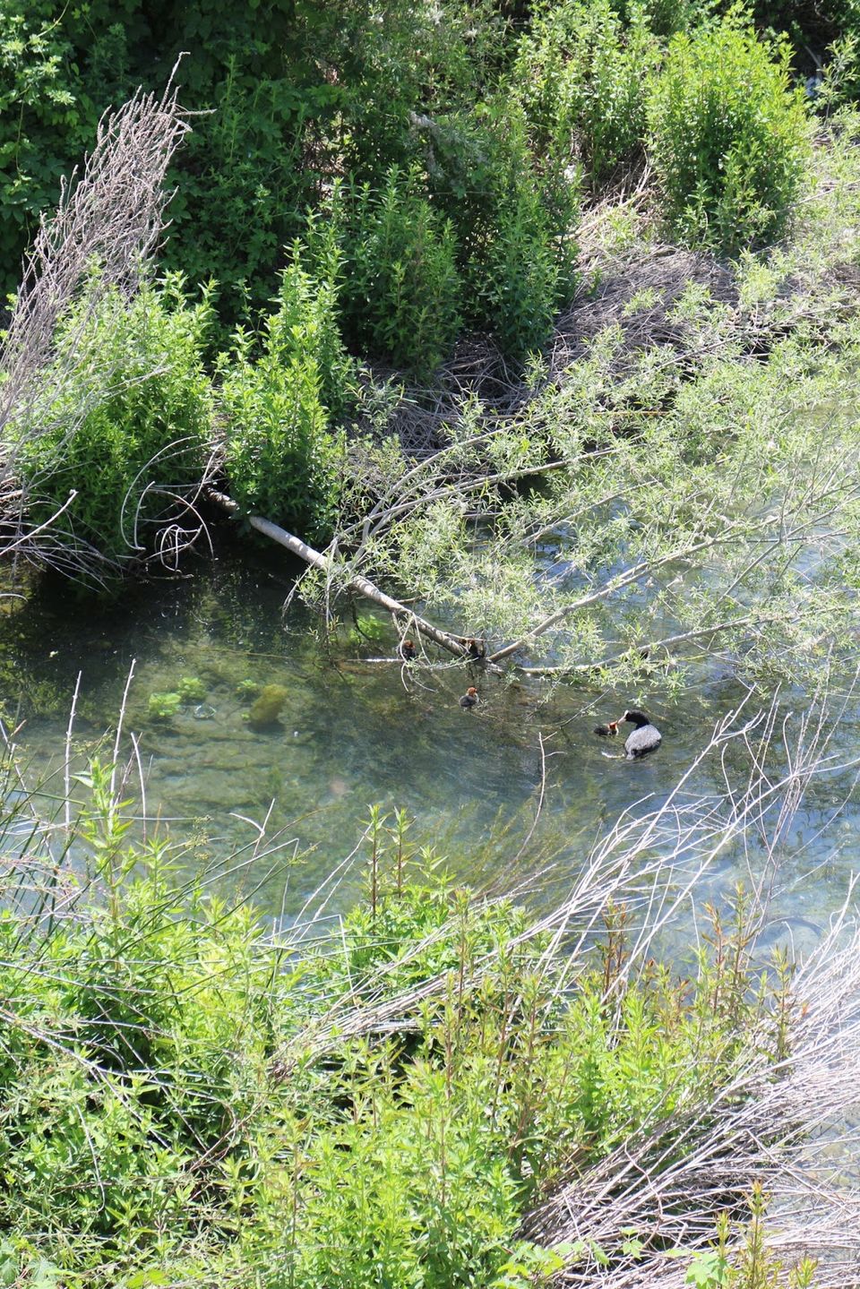 Photo of Ventimiglia - The sea and the old town 9/14 by My Life in Sin
