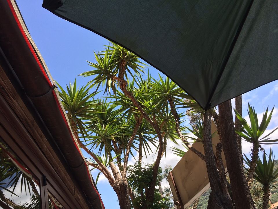 Photo of Ventimiglia - The sea and the old town 14/14 by My Life in Sin