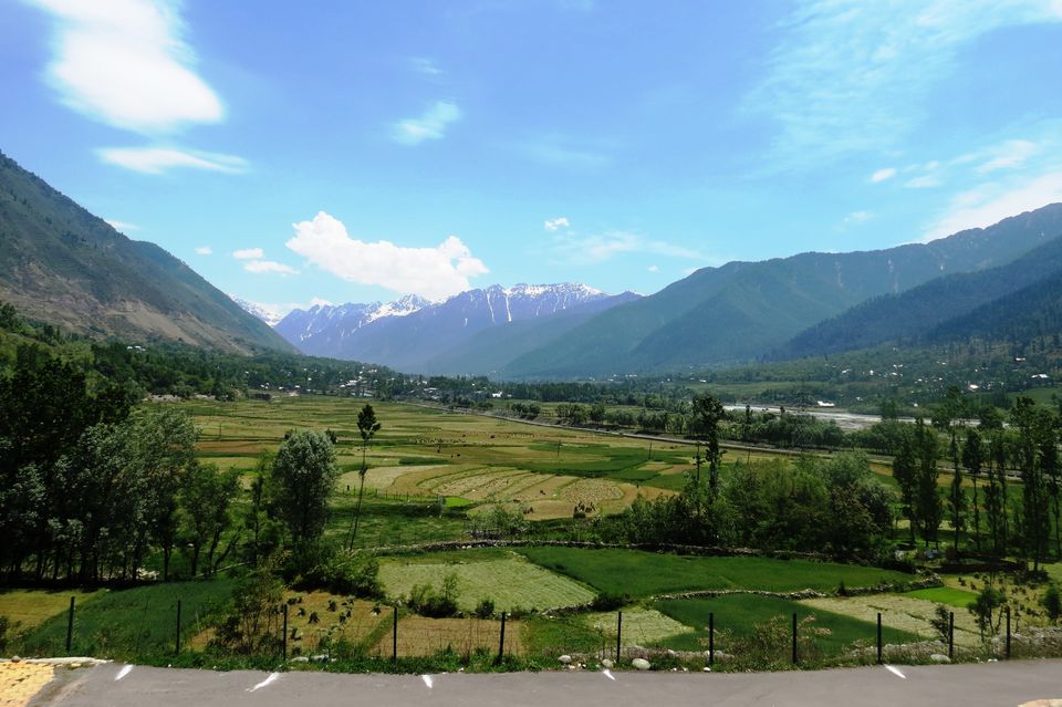 Photo of Ladakh: In the land where the journey is the destination - Srinagar, Kargil, Leh 7/87 by Priti Gupta