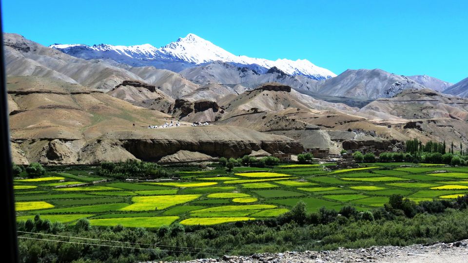Photo of Ladakh: In the land where the journey is the destination - Srinagar, Kargil, Leh 15/87 by Priti Gupta