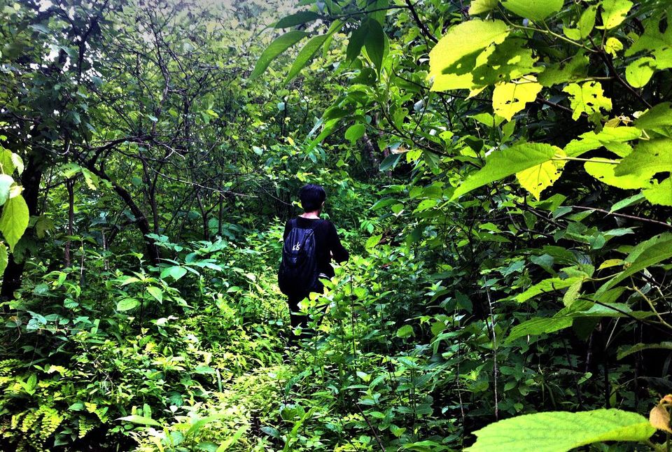 Photo of Weekend Getaways From Mumbai 2/14 by Adyasha Dash (The Wandering Mind)