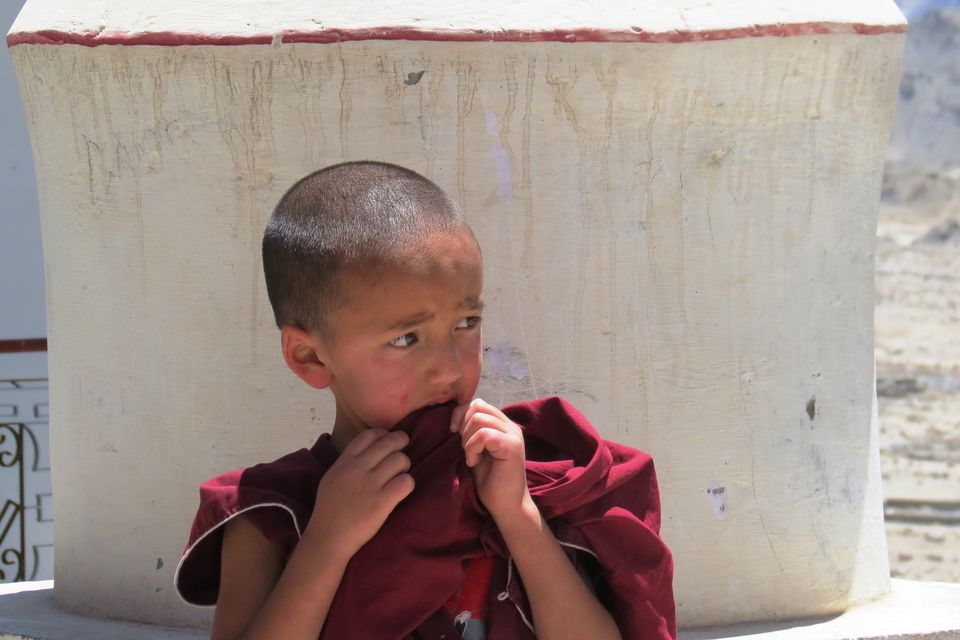 Photo of Ladakh: In the land where the journey is the destination - Srinagar, Kargil, Leh 46/87 by Priti Gupta