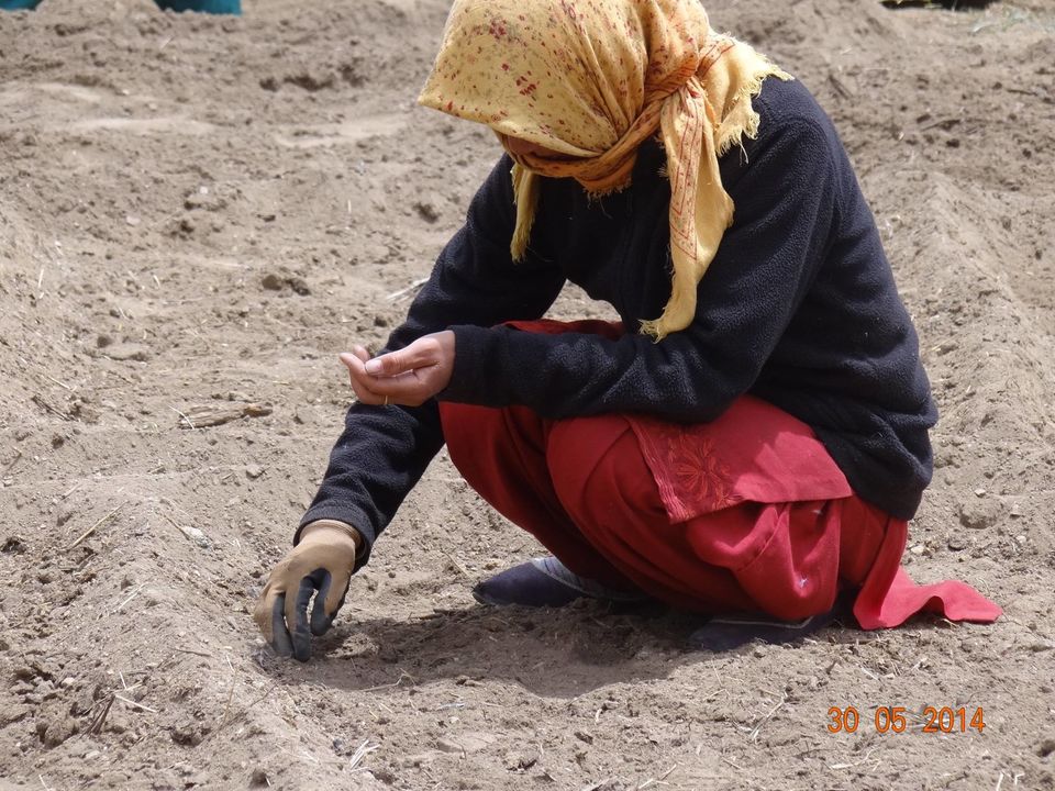 Photo of These Indian Travelers are Changing the Country One City at a Time 12/12 by Sreshti Verma