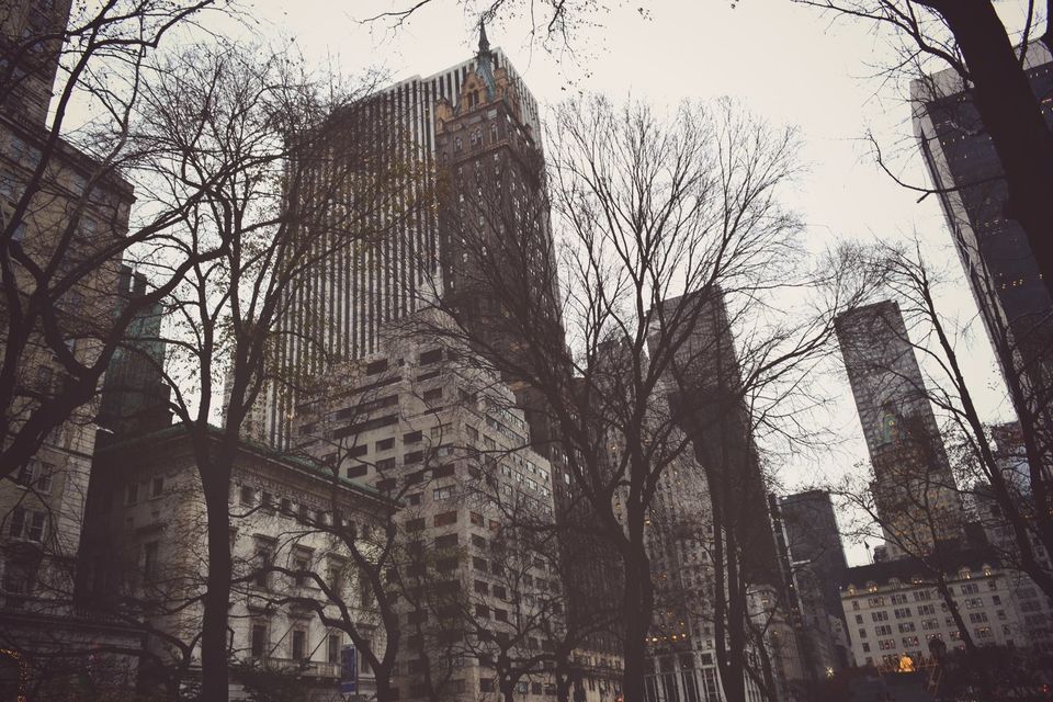 Photo of 22 Hours, 25 Minutes - All the Way to New York 26/36 by Amrita Chowdhury
