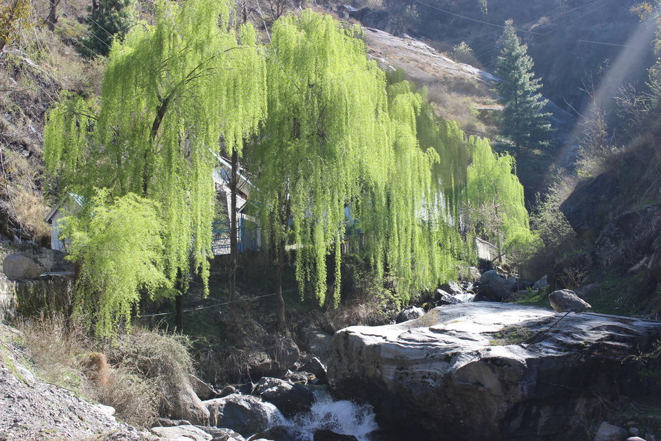 Photo of Manikaran Sahib: A Sacred Town Of Confluence of Faith 4/6 by Disha Kapkoti