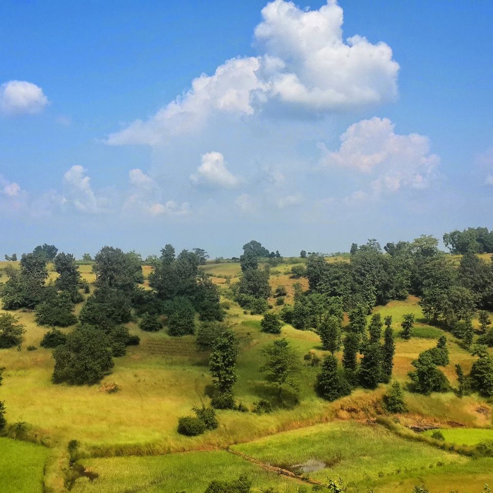 Photo of Jawhar : A Hidden Getaway From Bombay 1/5 by Adyasha Dash (The Wandering Mind)