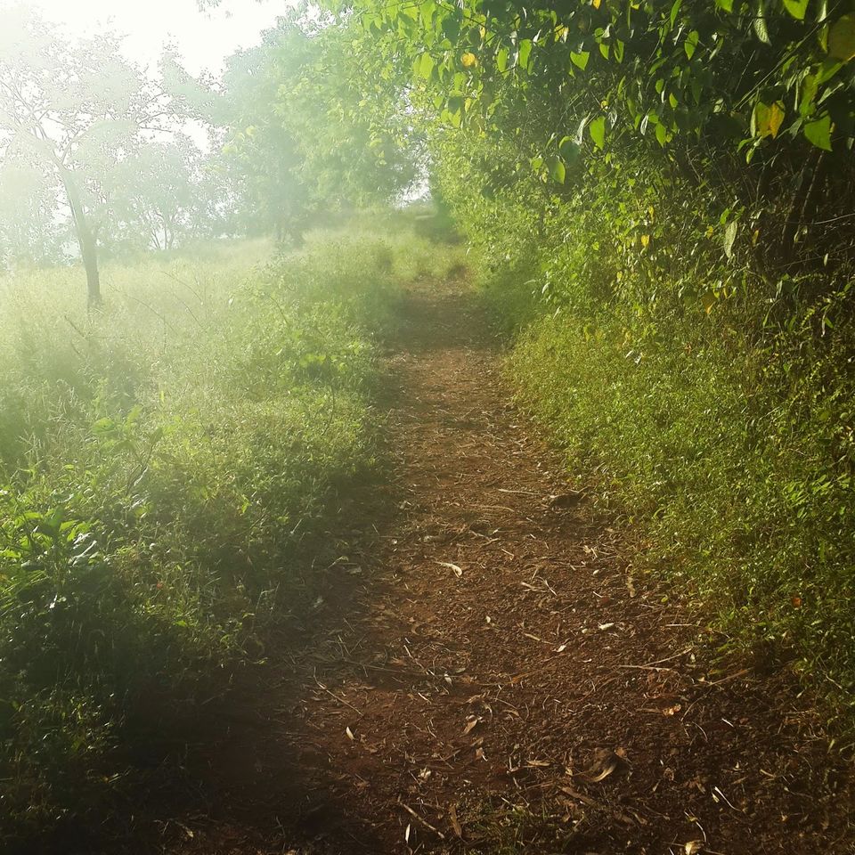 Photo of Jawhar : A Hidden Getaway From Bombay 3/5 by Adyasha Dash (The Wandering Mind)