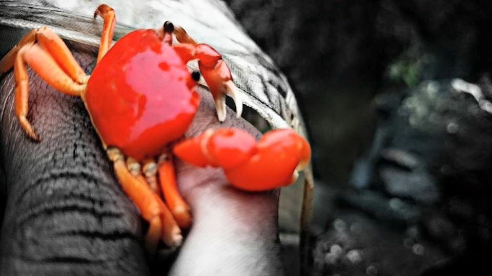 Photo of Ratan Gad : Jewel of Forts 15/20 by Manish