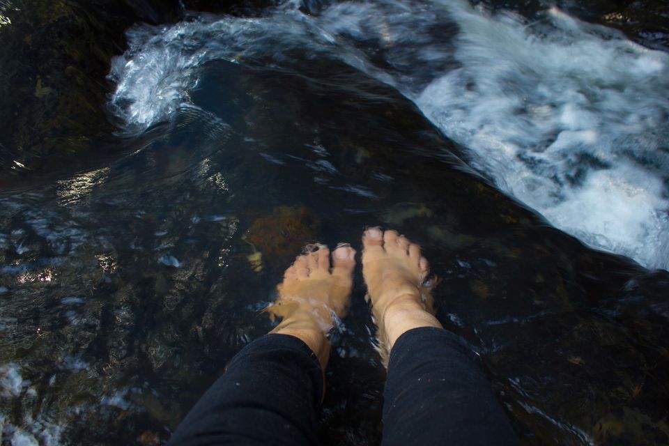 Photo of The Trip: Kuldiha Forest 8/9 by Moumita Ghorai